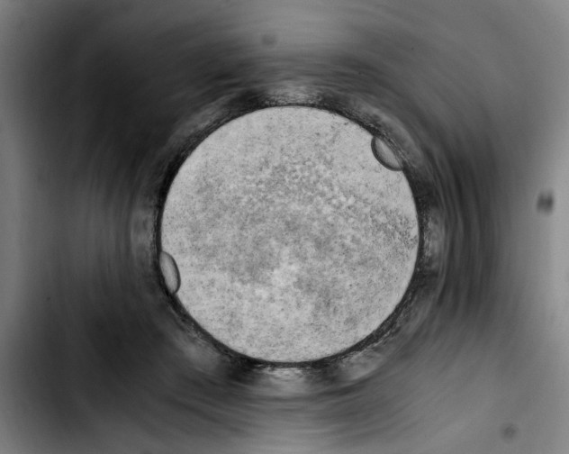 X0000103430409200810241103