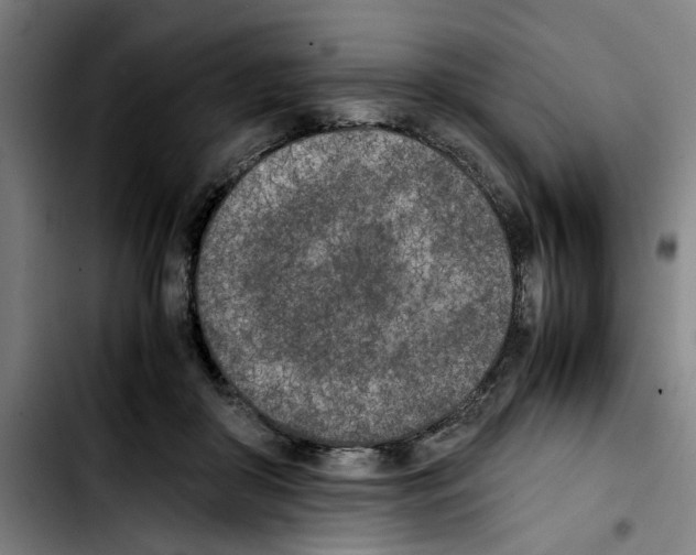 X0000103430410200810241103