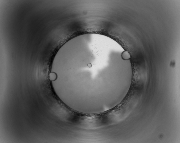 X0000103430411200810241103