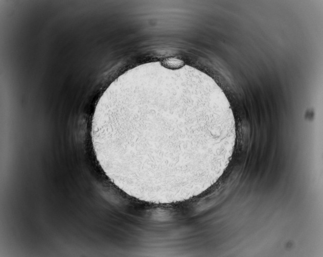 X0000103430412200810241103