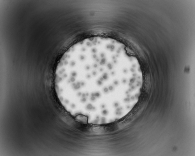 X0000103430413200810241103