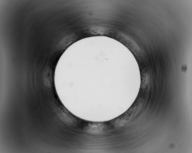 X0000103430414200810241103