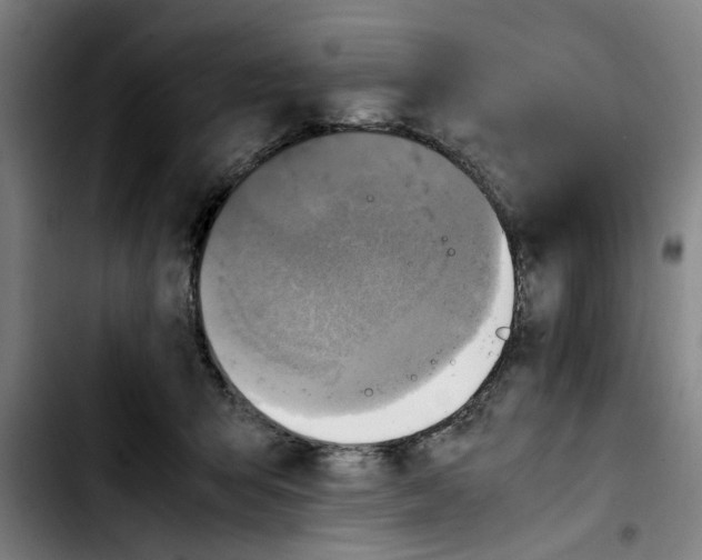 X0000103430415200810241103