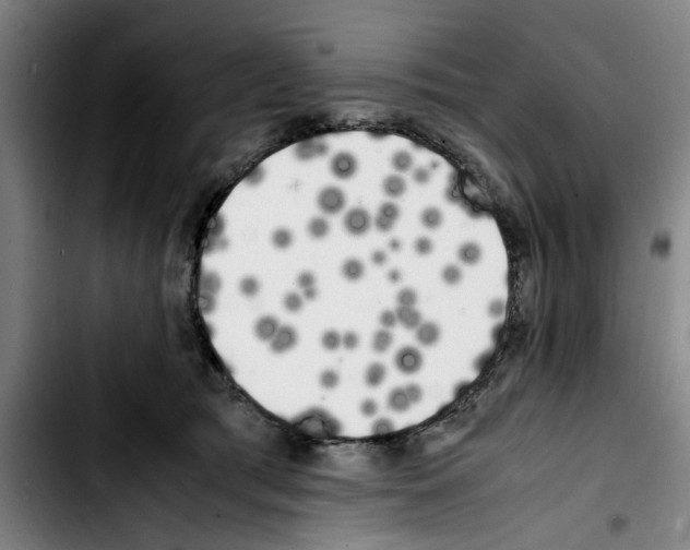 X0000103430417200810241103