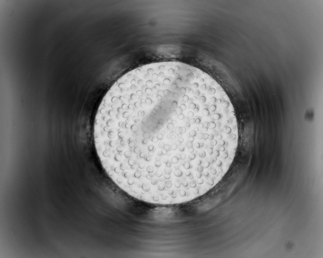 X0000103430418200810241103