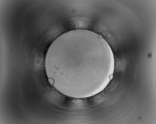X0000103430419200810241103