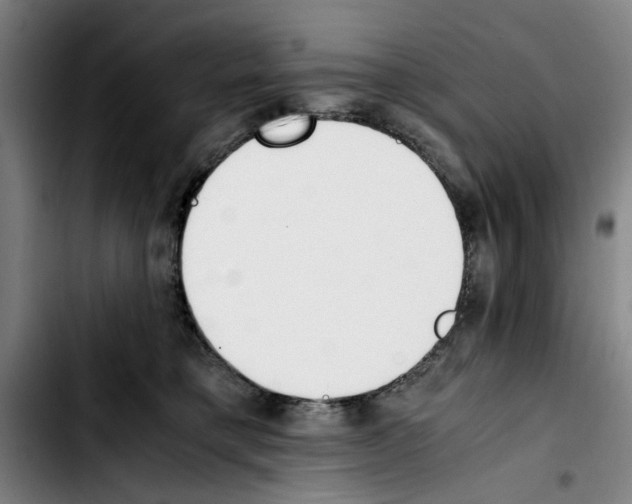 X0000103430421200810241103
