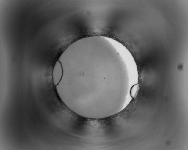 X0000103430423200810241103