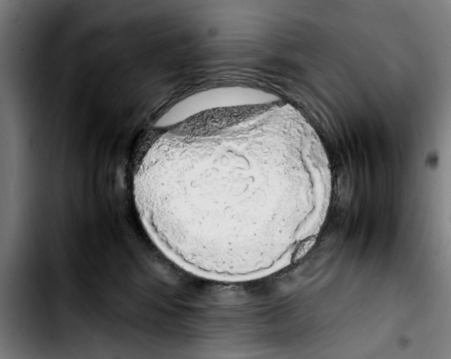 X0000103430424200810241103
