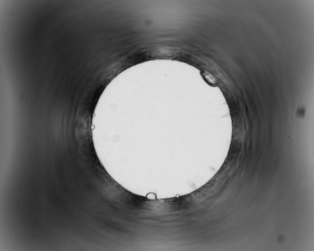 X0000103430425200810241103