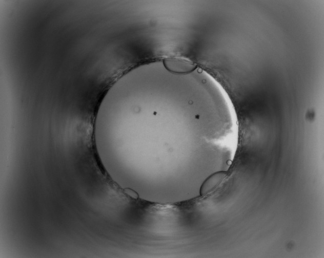 X0000103430427200810241103
