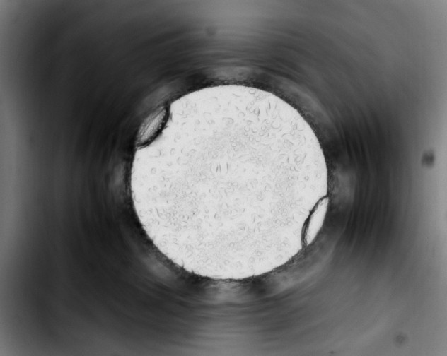 X0000103430428200810241103