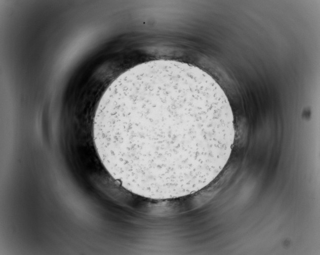 X0000103430430200810241103