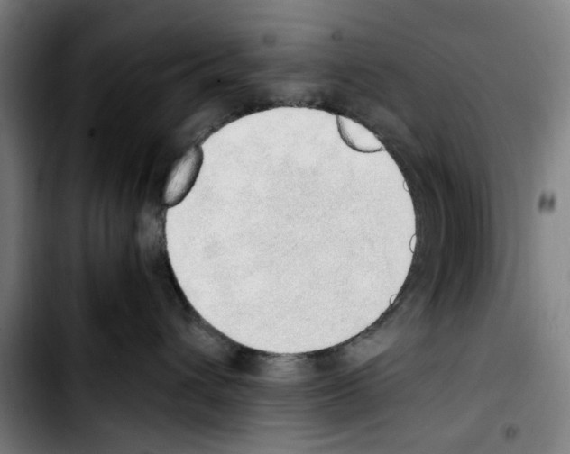 X0000103430432200810241103