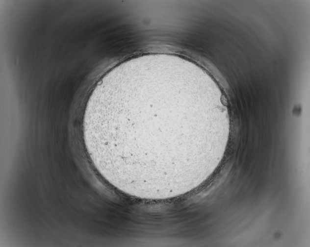 X0000103430433200810241102