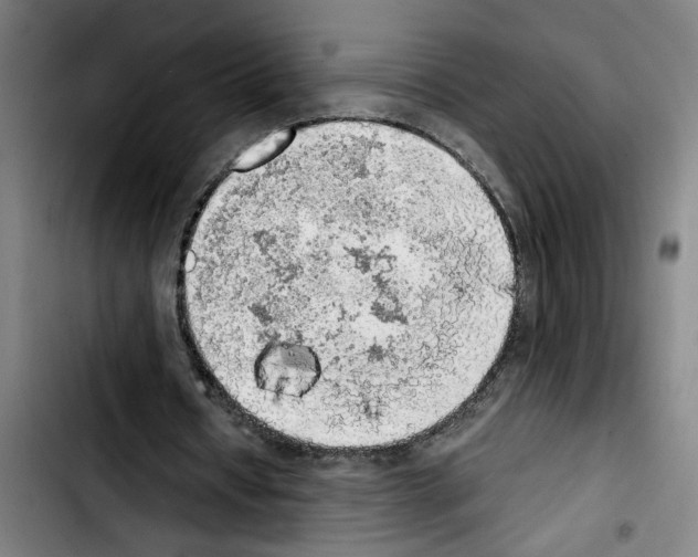 X0000103430434200810241102