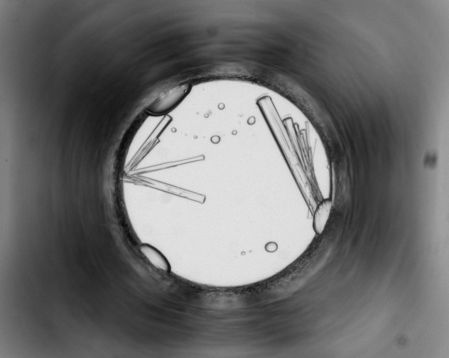 X0000103430435200810241102