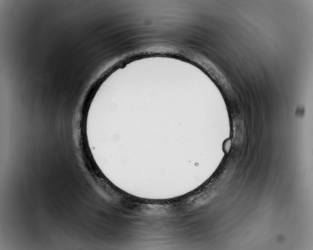 X0000103430436200810241102