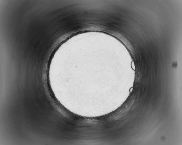 X0000103430437200810241102
