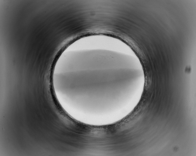 X0000103430438200810241102
