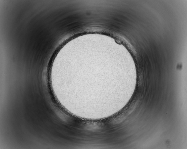 X0000103430439200810241102