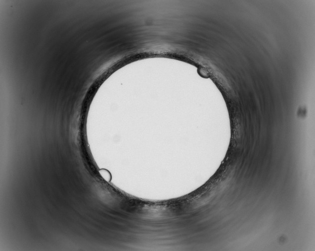 X0000103430440200810241102