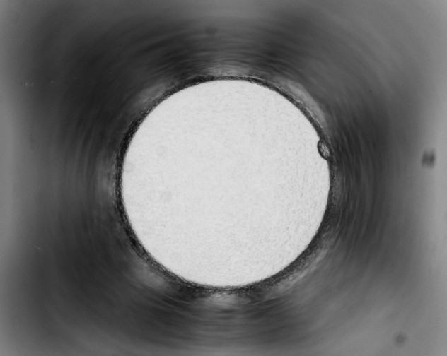X0000103430441200810241102
