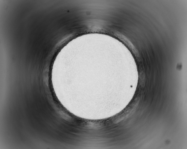 X0000103430442200810241102