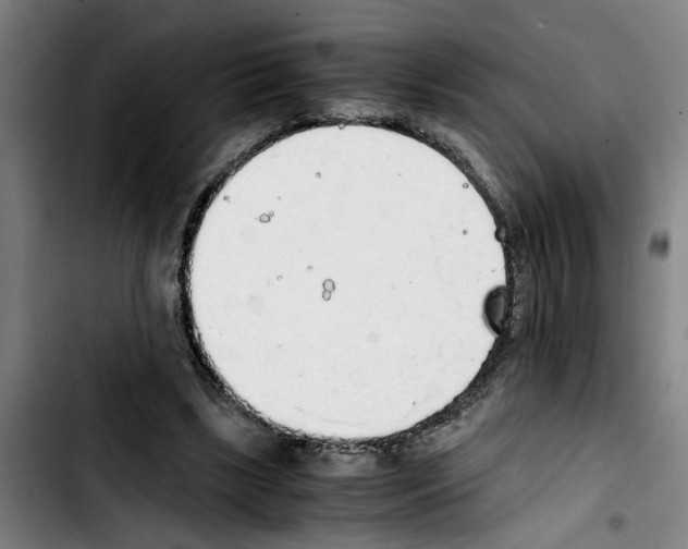 X0000103430443200810241102