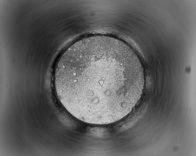 X0000103430444200810241102