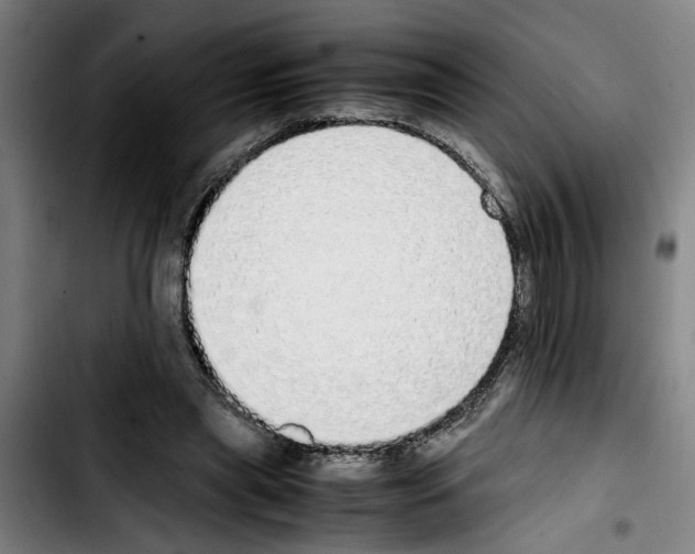 X0000103430445200810241102