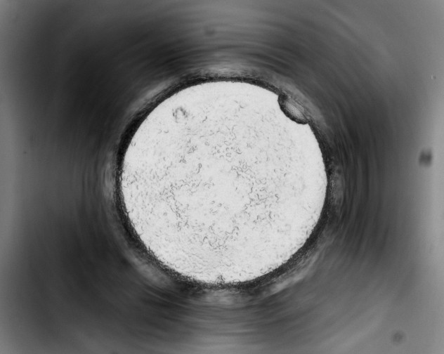 X0000103430446200810241102