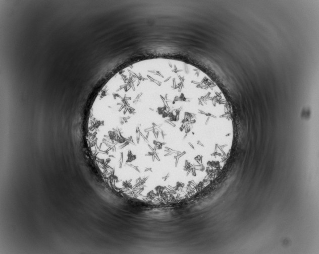 X0000103430447200810241102