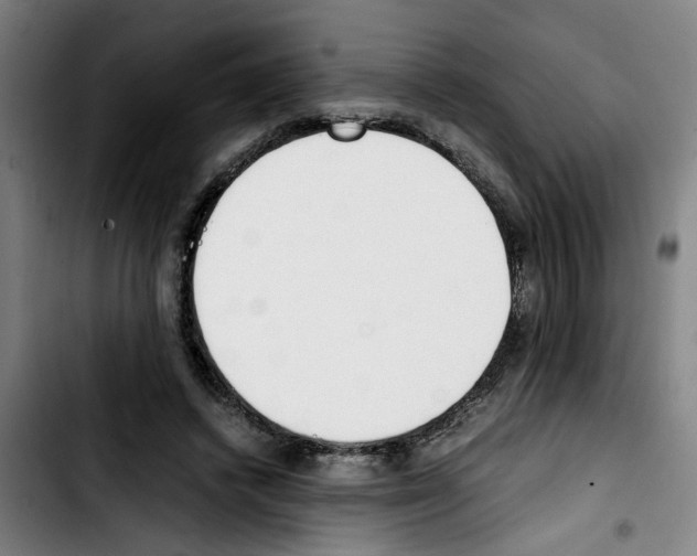 X0000103430448200810241102