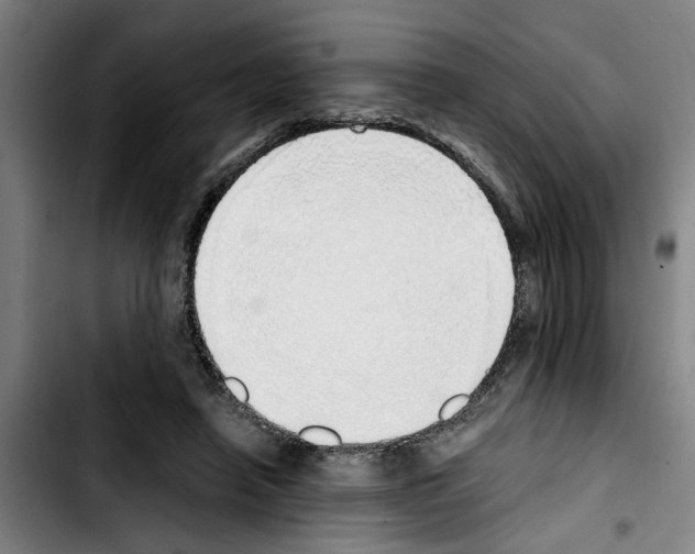 X0000103430450200810241102