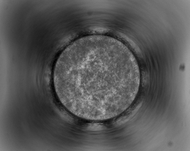 X0000103430451200810241102