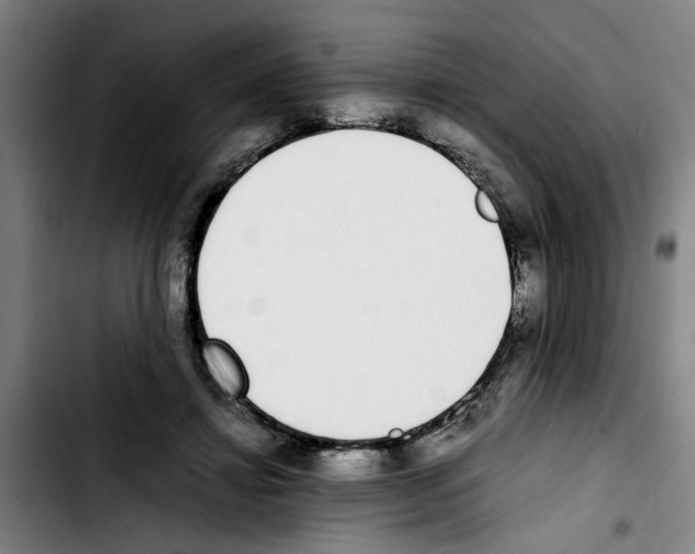 X0000103430452200810241102