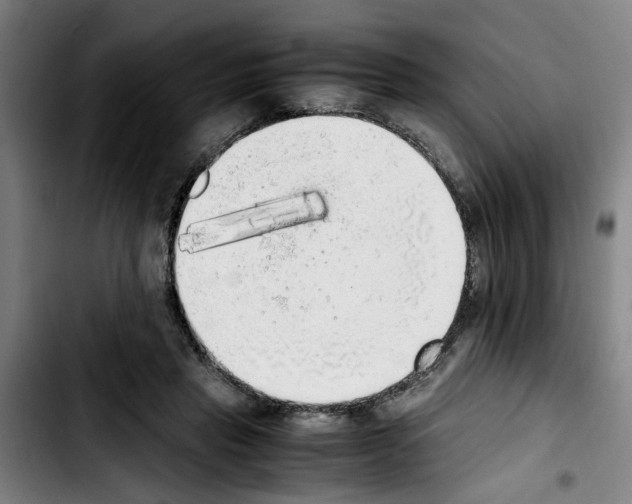 X0000103430453200810241102