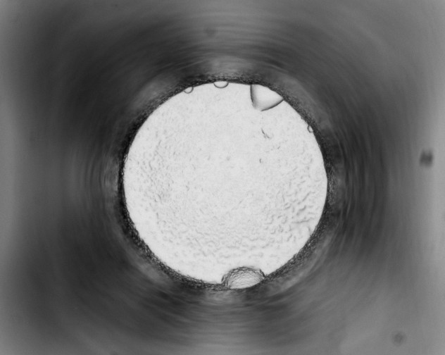 X0000103430454200810241102