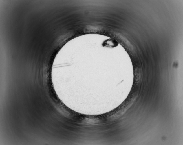 X0000103430455200810241102