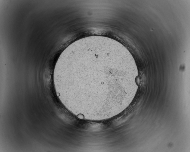 X0000103430456200810241102