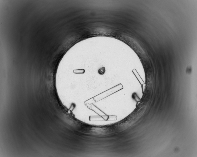 X0000103430457200810241102