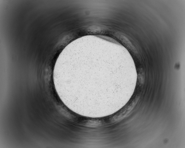 X0000103430458200810241102
