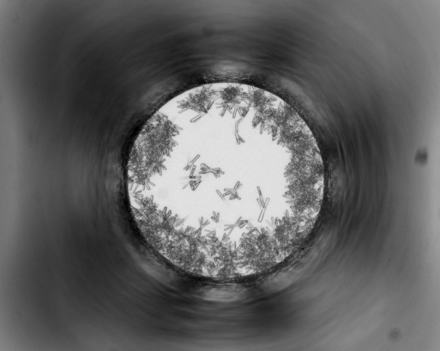 X0000103430459200810241102