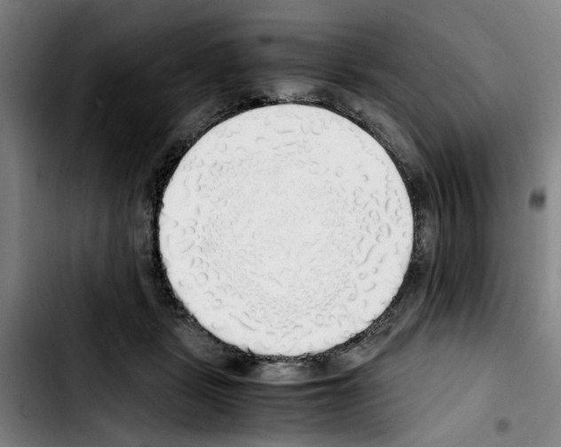 X0000103430461200810241103