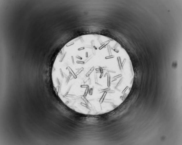 X0000103430462200810241103