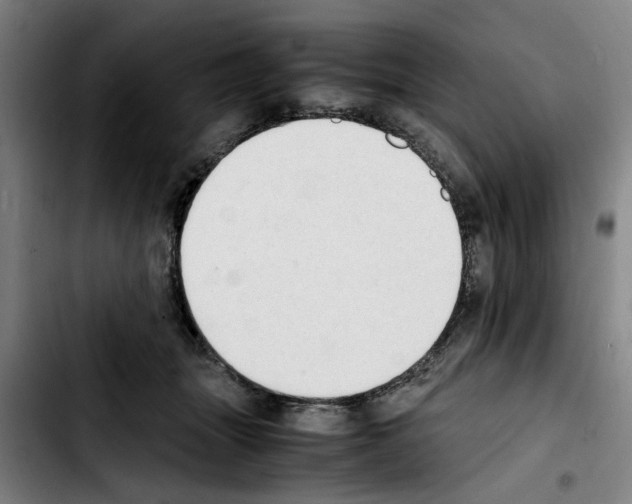 X0000103430463200810241103