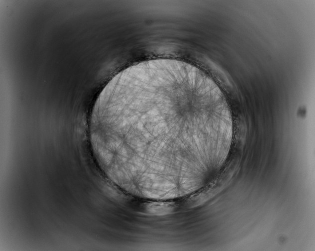 X0000103430465200810241103