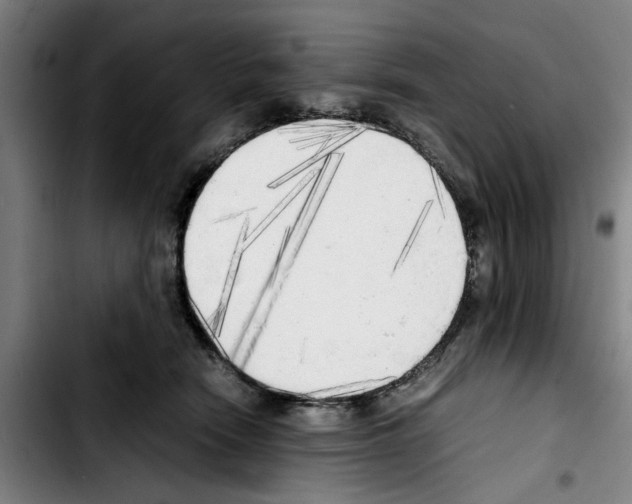 X0000103430466200810241103