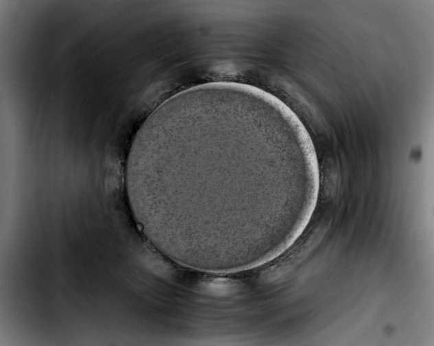 X0000103430467200810241103